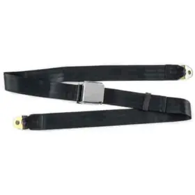 70080 Jegs 2-point Non-retractable Seat Belt