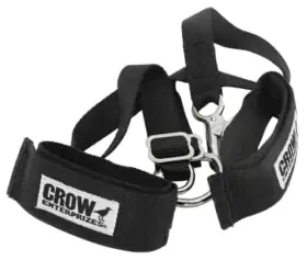 994-11574a2 Jr Race Car Arm Restraints