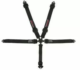 111254 Mastercraft Seat Belt Restraint 2in 5 Point Snap In Sfi