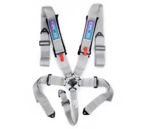 Sbh-b6pcsl Nrg Innovations For 5pt 3 Inch Seat Belt Harness / Cam Lock - Silver