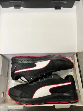 Wap4390460l0ms Porsche Motorsport Driving Shoes
