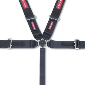 Sb100020 Pyrotect Harness 5pt Camlock Pd 3in Sfi