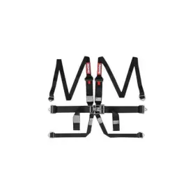 718008 Racequip Premium 6-point Sfi Hans/hnr Latch And Link Belts Set Black