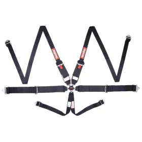 747007rqp Racequip Camlock 6 Point Racing Harness Hans Pull-up