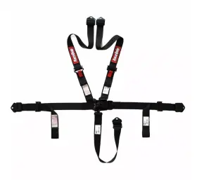 809009 Racequip 2 Inch Small Buckle L&l Pro 5-point Auto Racing Harnesses Sfi 12/26