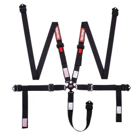 841001rqp Racequip Camlock 2 Inch Sfi 16.1 5-point Harness With Pull Down Lap Belt