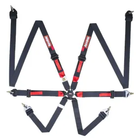 8853-2016 Racequip 856006 Fia Rated All 2 Inch 6 Pt Camlock Auto Racing Harness Set Pull-up