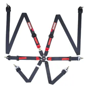 856006rqp Racequip Camlock 6 Point Harness Fia Pull-up Hans 2in