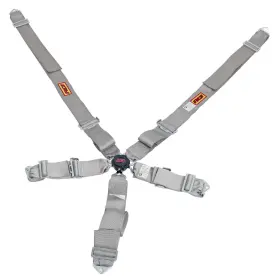 9210cpl Rci - Platinum Series 5-point Sfi 16.1 Harness Set Gray