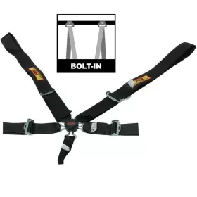 9510cd Rci Racing Camlock Harness