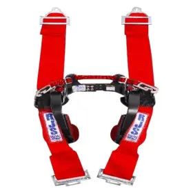 Rjs 000001142204 1142204 - 5-point Latch And Link Harness System