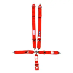 1034904 Rjs - 5-point Camlock Harness System