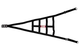 10001501 Rjs Racing Equipment Non-sfi Ribbon Roll Cage Net 2 Point Black