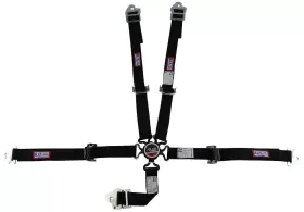 1017401 Rjs Racing Equipment Camlock Quick-release Harness