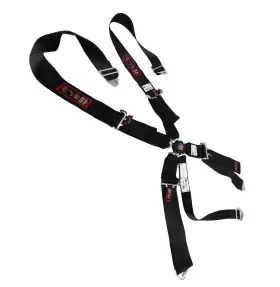 1031801 Rjs Racing Equipment Classic Series Camlock Harness