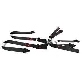 Rjs Racing Equipment 1034401 Classic Series Camlock Harness