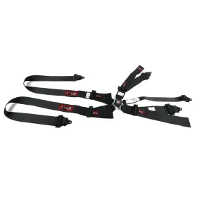 1034401 Rjs Racing Equipment Classic Series Camlock Harness