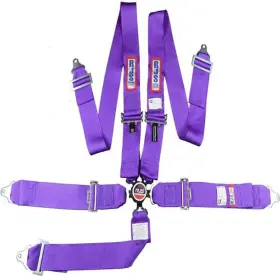 1034908 Rjs Racing Equipment R.j.s. Safety 5-point Cam-lock Harness Purple