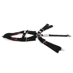 Rjs Racing Equipment 1036501 Classic Series Camlock Harness