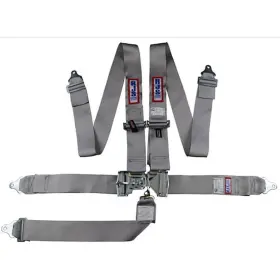 1131007 Rjs Racing Equipment 5-point Latch And Link Harness Grey
