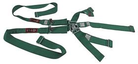 Rjs Racing Equipment 1145609 Classic Series Latch And Link Harness