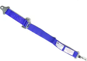 17001103 Rjs Racing Equipment Classic Series 2-point Latch And Link Sfi 16.1