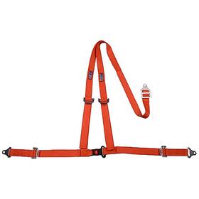 Rjs Racing Equipment 4000504 Buckle And Tongue Style Harness With Floor Mount Re