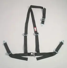4000811 Rjs Racing Equipment Non-sfi B&t Harness 2 Pull Up Lap Belt S. H. Y Floor