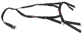 4002101 Rjs Racing Equipment Off-road And Buggy Belts With Buckle