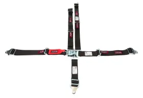1002001 Rjs Safety Harness Pull Down Lap Belt 2in Sfi 16.1