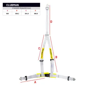 907005n Sabelt Clubman 3 Point Harness - 2018 Expiration