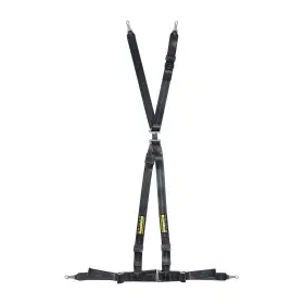 Sr-16100 Schroth Racing Sr16100 Rallye 4 Asm Harness