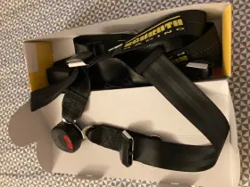 Sr-19640 Schroth Racing Harness 4 Point Asm Quick-fit Pro For S550 Mustang Black
