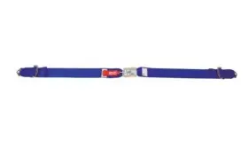 29004bl Simpson Racing Lap Belt - Sfi 16.1 Latch And Link 62 Inch Pull Up