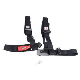 Simpson Performance Products 18717400074367-e00a05 D3 Bolt-in Safety Harness With Pads 3 Inch Driver Side