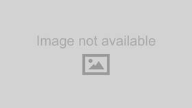Sparco Brb0003b0y04043 Shoe For X-light 43 Yellow/black