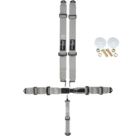 9101182 Speedway Motors Elite Series Platinum 5 Point Harness Seat Belts And Install Kit