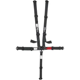 9107284 Speedway Motors 2-inch Black 5-point Latch And Link Belts