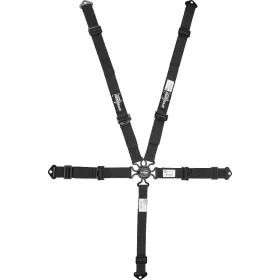 9107285 Speedway Motors 2-inch Black 5-point Cam Lock Belts