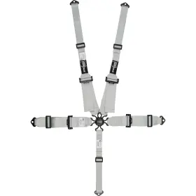 9107293 Speedway Motors Elite 5-point Racing Harness With Cam Lock And Hans Compatibility Silver