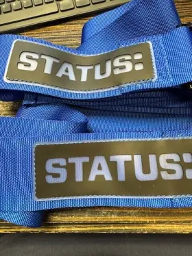 Status 669372000560 Racing Cam Lock Harness 5-point Limited Edition Blue
