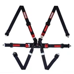 Racequip 857007RQP Fia 2" 6-POINT Harness With Euro Sub & Pull Up Lap Belt Black New. Price: $284.95.