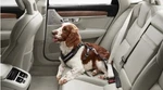 Genuine Volvo Dog Harness Large (approx. 66-120 Lbs.) 31470402 New. Price: $144.99.