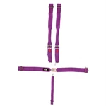 Crow 40064 5-WAY Ratchet Racing Harness, Black New. Price: $263.99.