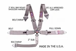 Rjs Sfi 16.1 Cam Lock 5 Point Roll Bar Mount Bolt Harness Gray 1031707 New. Price: $184.79.