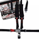 Aces Racing 5 Point Harness With 2 Inch Padding (black) New. Price: $59.00.