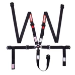 Racequip Camlock 5 Point Harness Set Black Sfi 16.1 Rated 2 In. Belts 841001RQP New. Price: $209.95.