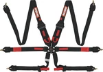 Racequip Black Fia 8853-2016 Pt Camlock Hans Pull-down 2" Lap Seat Belt Set New. Price: $281.95.