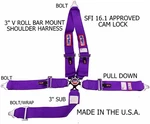 Rjs Sfi 16.1 Cam Lock 5 Pt V Roll Bar Mount Bolt In Harness Belt Purple 1030108 New. Price: $161.99.