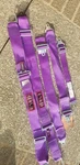 Used Rjs Racing Sfi 16.1 Latch & Link Roll Bar Mount Harness Purple Expired Date. Price: $45.00.
